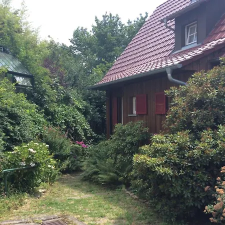 Ferienwohnung Cipolla Oberkirch  Esterno foto